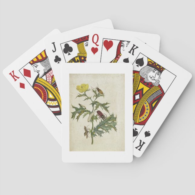 Cardos Spinosus: Beetles and Caterpillars, plate 6 Poker Cards (Back)