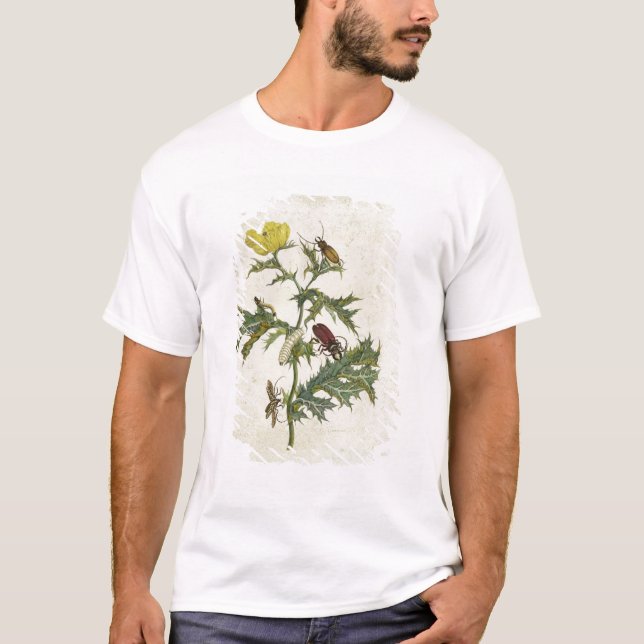 Cardos Spinosus: Beetles and Caterpillars, plate 6 T-Shirt (Front)