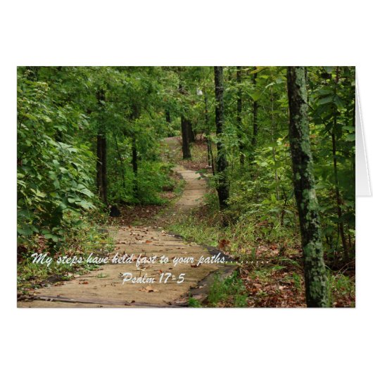 Cards (Front Horizontal)