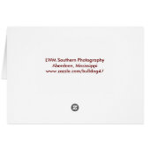 Cards (Back Horizontal)