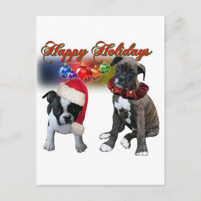 Cards:  Happy Holidays from BT and Boxer puppies Holiday Postcard (Front)