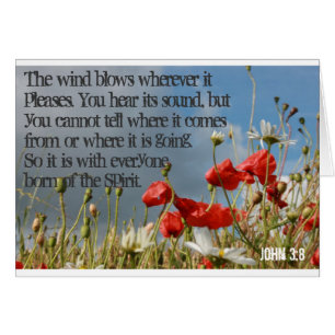 Cards - John 3:8