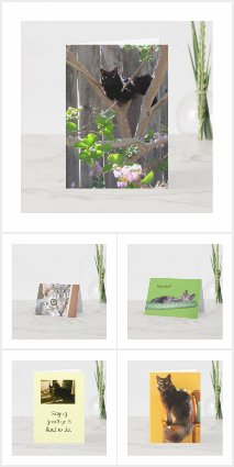 Cards with/for Cats