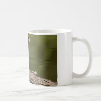 Carduelis carduelis coffee mug