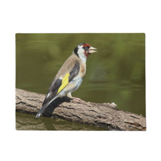 Carduelis carduelis doormat