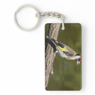 Carduelis carduelis keychain