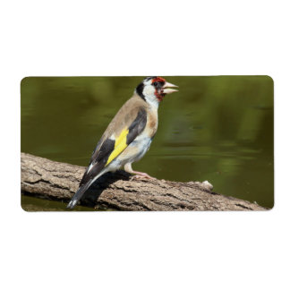 Carduelis carduelis label