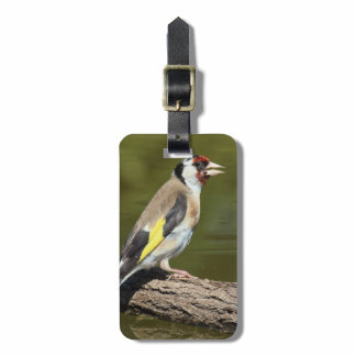 Carduelis carduelis luggage tag