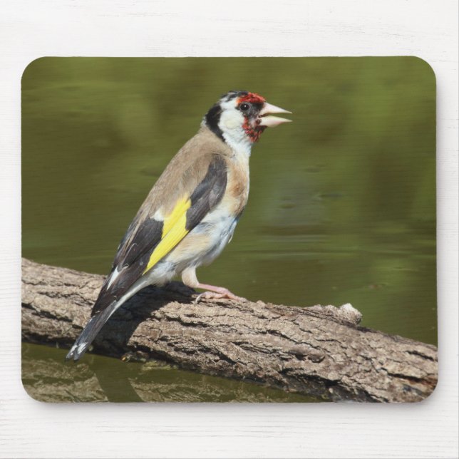Carduelis carduelis mouse pad (Front)
