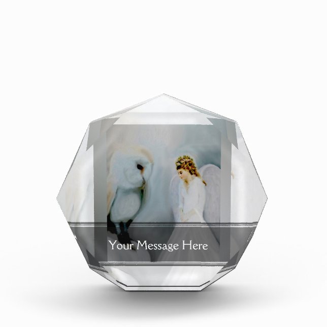 Care Guardian Angel and White Owl Acrylic Award (Front)