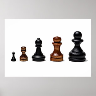 Career Path Poster
