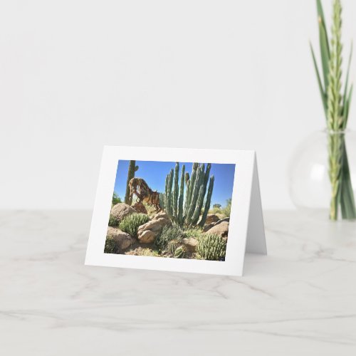 Carefree Desert Gardens Blank Card