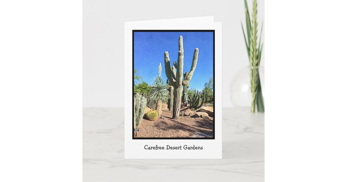 Carefree Desert Gardens Blank Greeting Card Zazzle Com