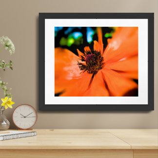 Carefree Spring Dayz - Large Format - Customized Framed Art