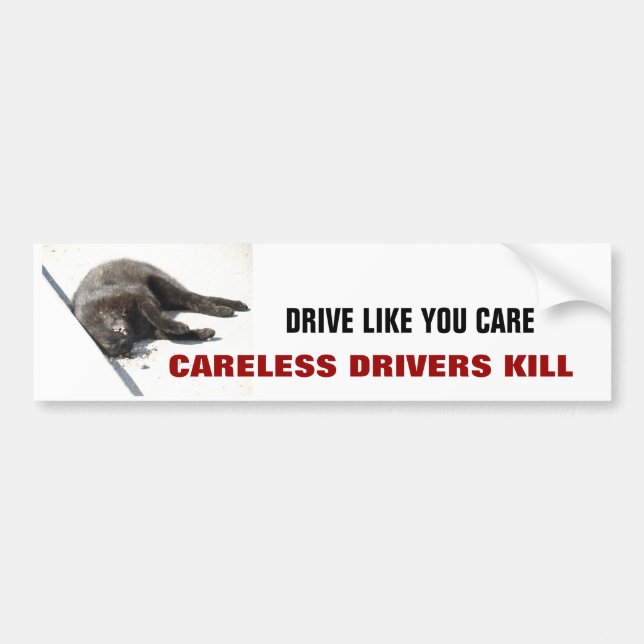 CARELESS DRIVERS KILL BUMPER STICKER (Front)