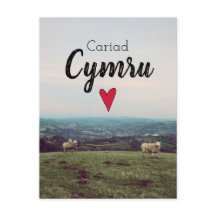 Cariad Cymru Vintage Wales Landscape Farm Sheep