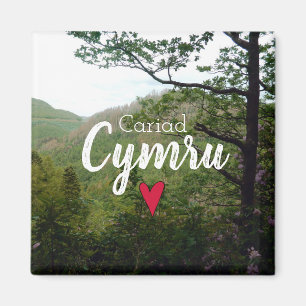 Cariad Cymru Wales Hill Landscape Devils Bridge Magnet