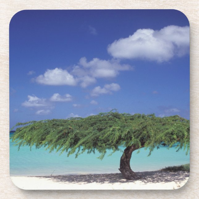 Caribbean, Aruba. Eagle Beach Drink Coaster (Front)