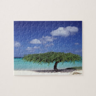 Caribbean, Aruba. Eagle Beach Jigsaw Puzzle