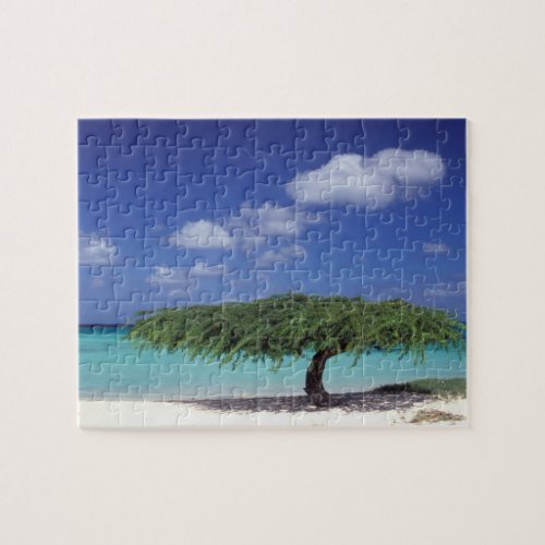 Caribbean Aruba Eagle Beach Jigsaw Puzzle