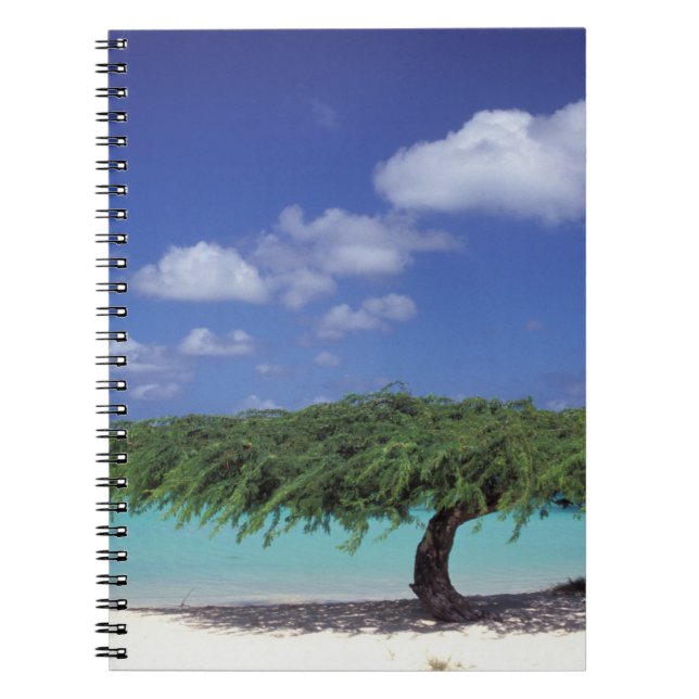 Caribbean, Aruba. Eagle Beach Notebook (Front)