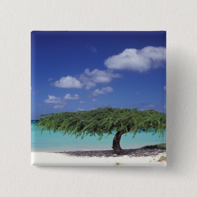 Caribbean, Aruba. Eagle Beach Pinback Button (Front)