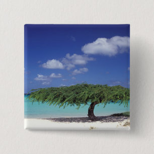 Caribbean, Aruba. Eagle Beach Pinback Button