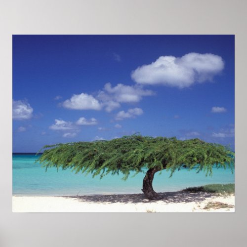 Caribbean Aruba Eagle Beach Poster