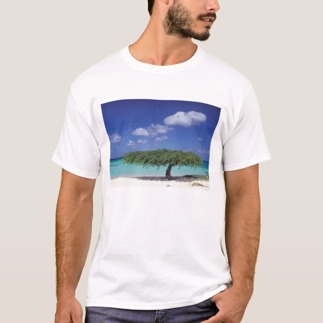 Caribbean, Aruba. Eagle Beach T-Shirt (Front)