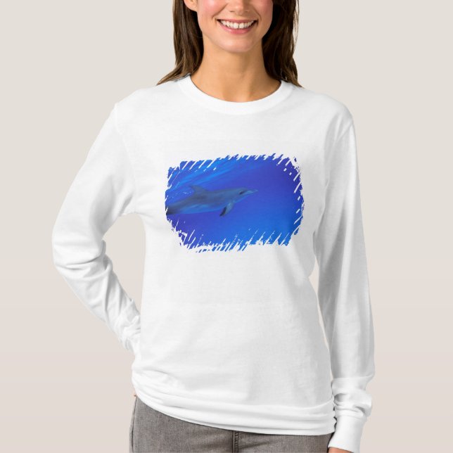 Caribbean, Bahamas Spotted dolphin T-Shirt (Front)