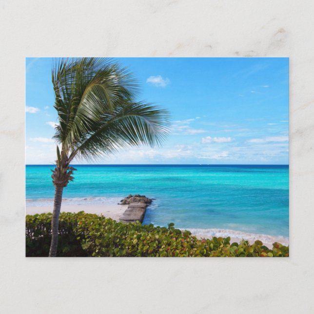 Caribbean Beach Postcard (Front)