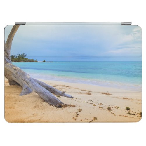 Caribbean Beachscape iPad Air Cover
