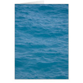 Caribbean Blue Water (Front)
