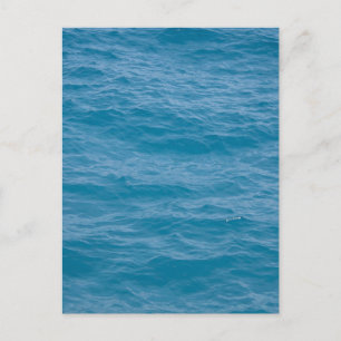 Caribbean Blue Water Postcard