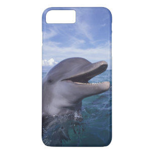 Caribbean, Bottlenose iPhone 8 Plus/7 Plus Case