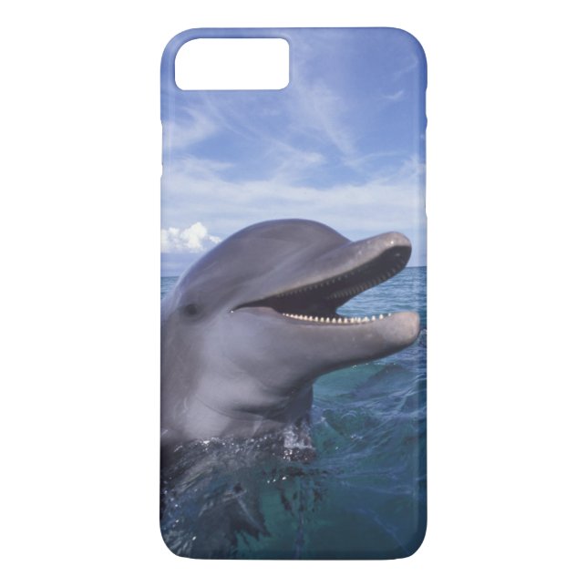 Caribbean, Bottlenose Case-Mate iPhone Case (Back)