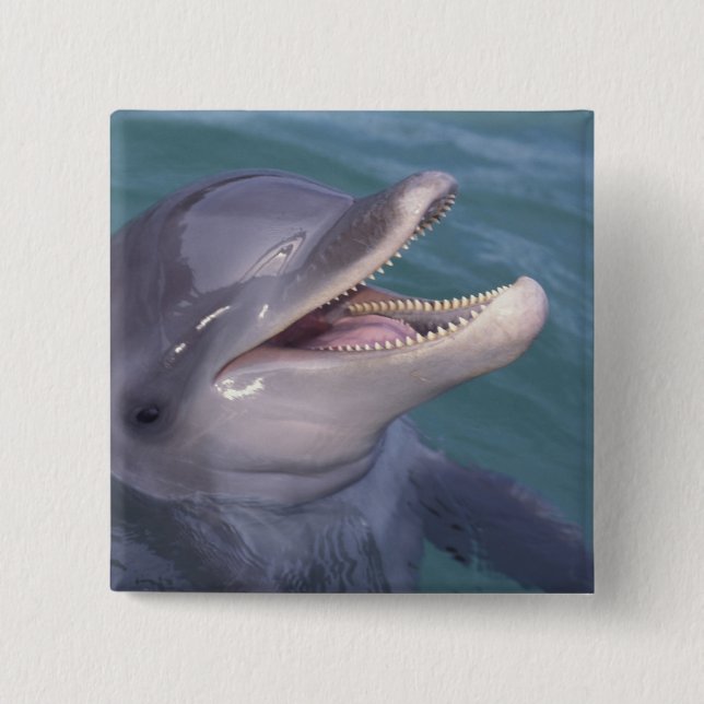 Caribbean, Bottlenose dolphin Button (Front)