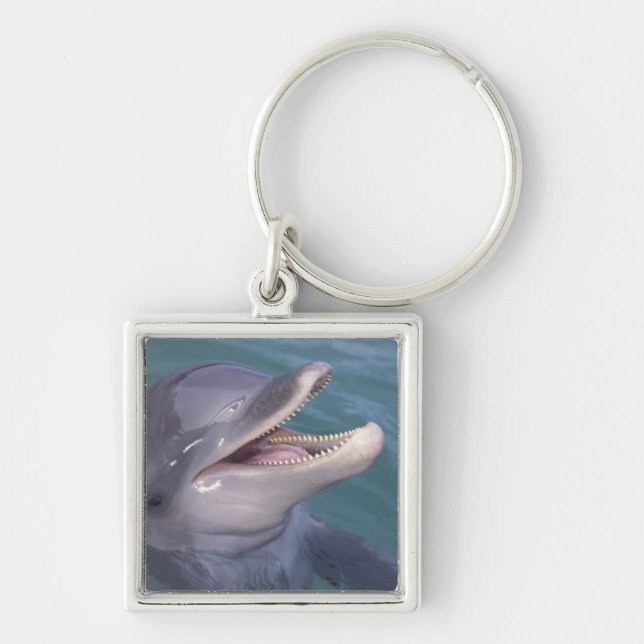 Caribbean, Bottlenose dolphin Keychain (Front)