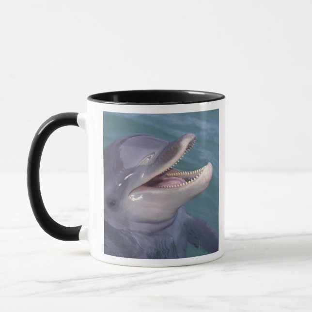 Caribbean, Bottlenose dolphin Mug (Left)