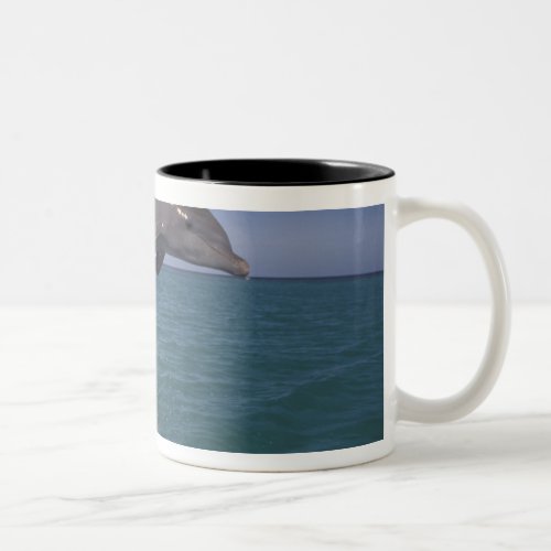 Caribbean Bottlenose dolphin Tursiops 3 Two_Tone Coffee Mug