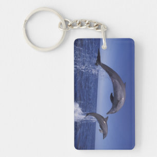 Caribbean, Bottlenose dolphins Keychain