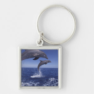 Caribbean, Bottlenose dolphins Keychain