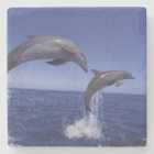 Caribbean, Bottlenose dolphins