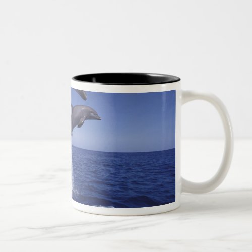 Caribbean Bottlenose dolphins Tursiops 12 Two_Tone Coffee Mug