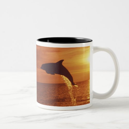 Caribbean Bottlenose dolphins Tursiops 14 Two_Tone Coffee Mug