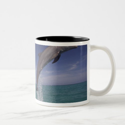 Caribbean Bottlenose dolphins Tursiops 15 Two_Tone Coffee Mug