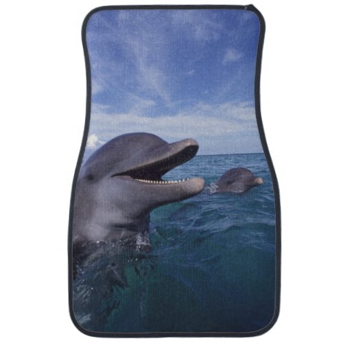 Caribbean Bottlenose dolphins Tursiops 5 Car Floor Mat