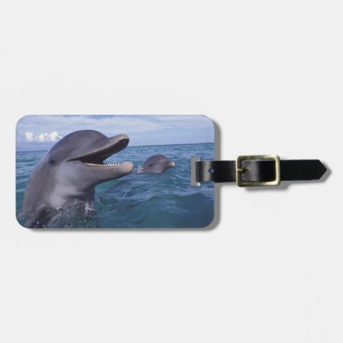 Caribbean Bottlenose dolphins Tursiops 5 Luggage Tag