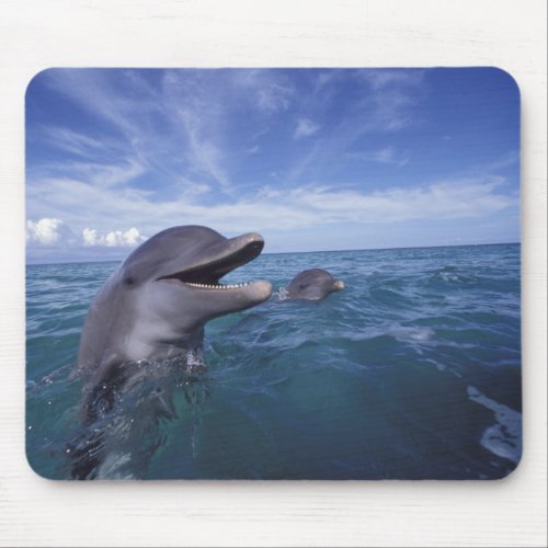 Caribbean Bottlenose dolphins Tursiops 5 Mouse Pad