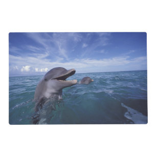 Caribbean, Bottlenose dolphins Tursiops 5 Placemat